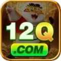 12q - Slots Pro